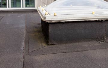disadvantages of Bridge Of Tynet flat roofs
