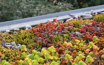 the cost of Bridge Of Tynet green roof installation