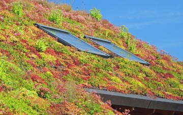 Bridge Of Tynet living roof systems
