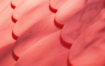 Bridge Of Tynet plastic roof costs