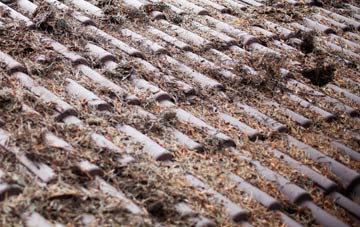 Bridge Of Tynet roof cleaning companies