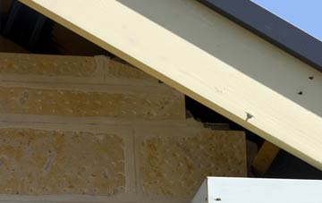 soffit repair Bridge Of Tynet