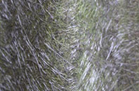 Bridge Of Tynet fibreglass roof work