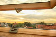 rated Bridge Of Tynet roof window companies